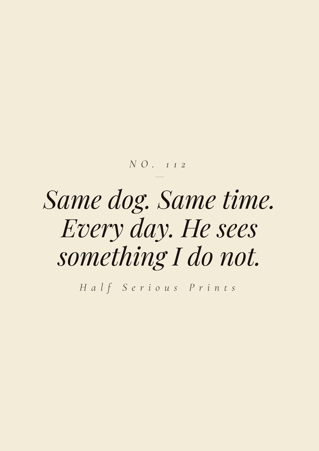 Same dog. Same time. Every day. He sees something I do not.