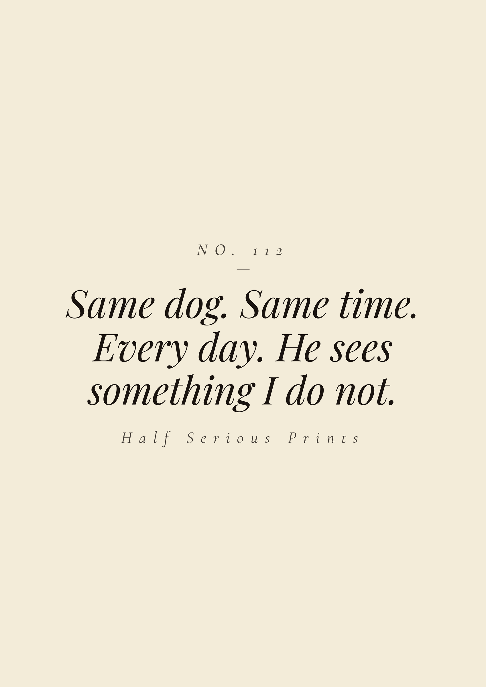 Same dog. Same time. Every day. He sees something I do not.