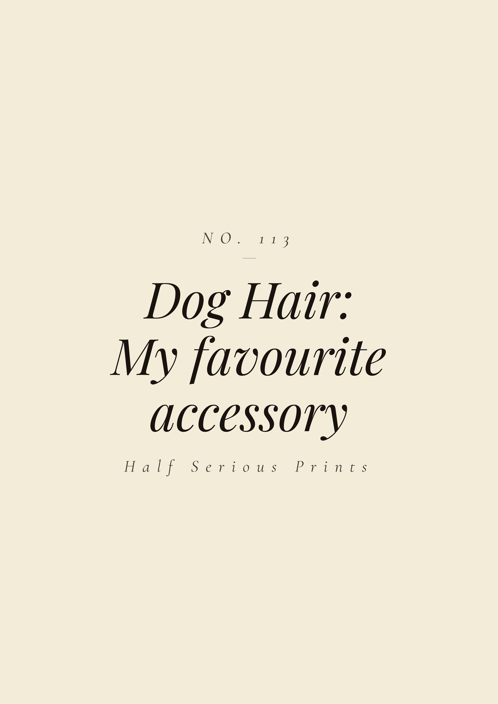 Dog Hair: my favourite accessory