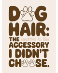 Dog Hair: The Accessory I Didn't Choose