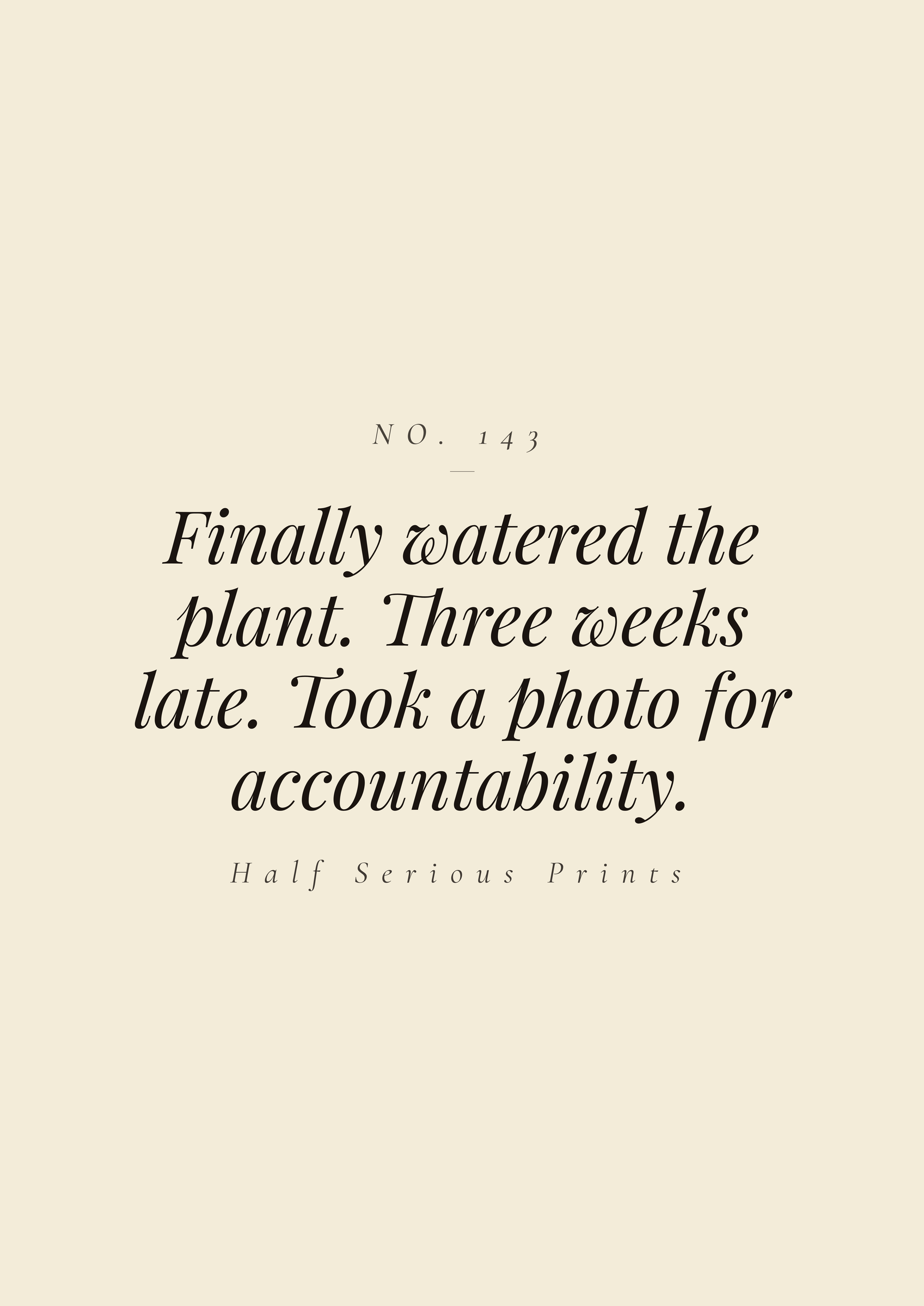 Finally watered the plant. Three weeks late. Took a photo for accountability.