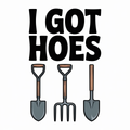 I Got Hoes