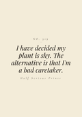 I have decided my plant is shy. The alternative is that I'm a bad caretaker.