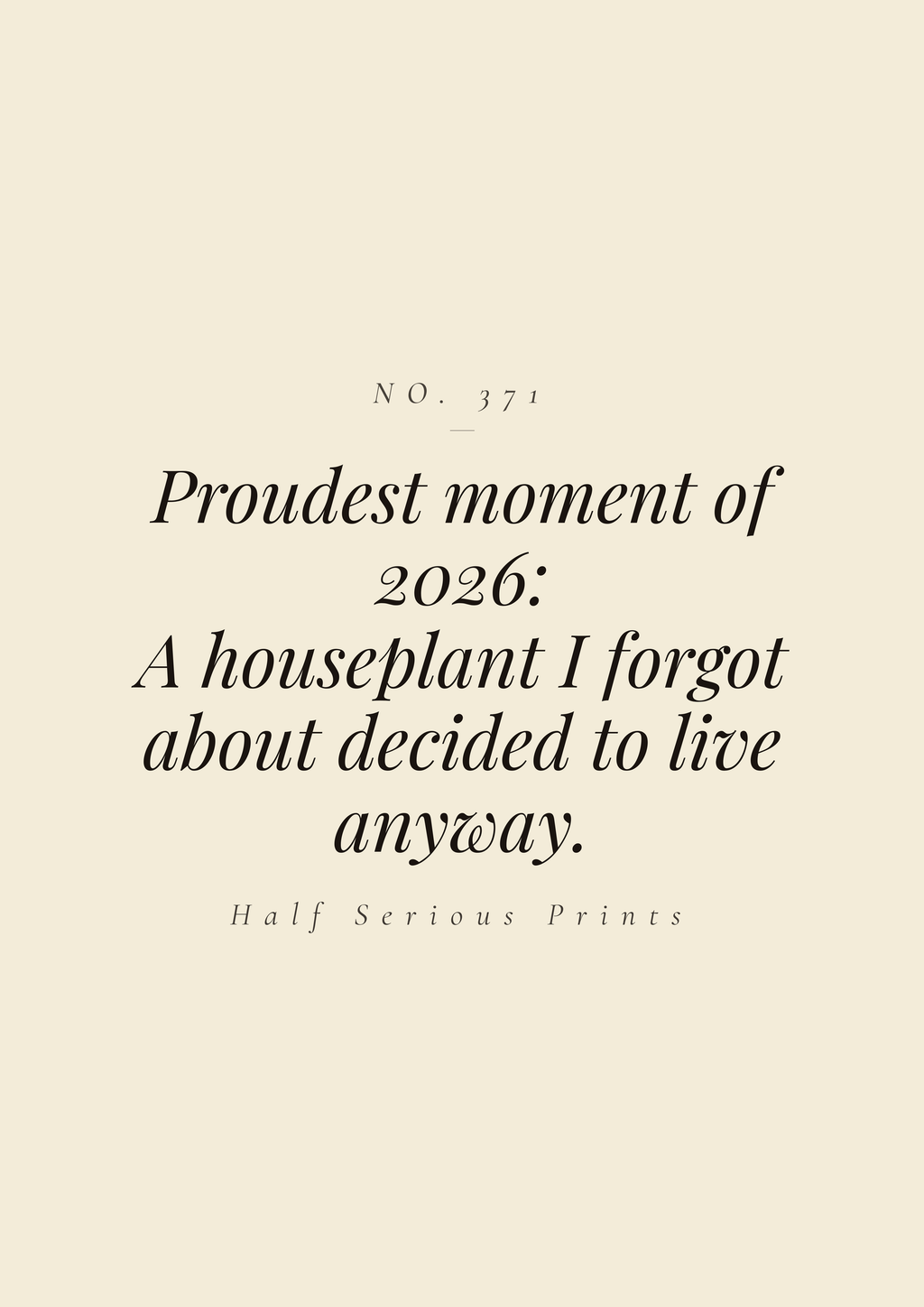 Proudest moment of 2026: a houseplant I forgot about decided to live anyway.