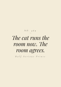 The cat runs the room now. The room agrees.